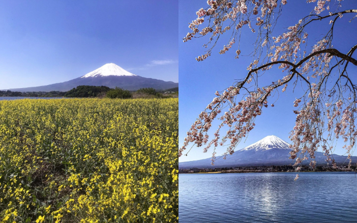 日本-河口湖-河口湖景點-河口湖酒店-富士山-富士山景點-東京-新宿-河口湖站